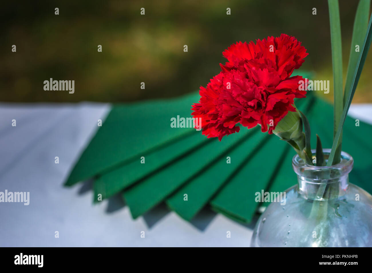 Red Carnation et serviettes vert Banque D'Images