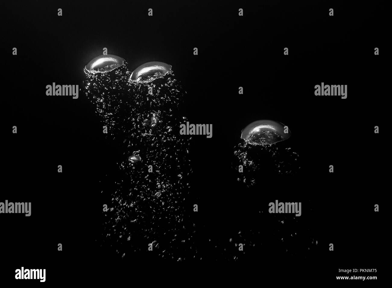 Des bulles d'air dans l'océan, Cancun, Yucatan, Mexique Banque D'Images