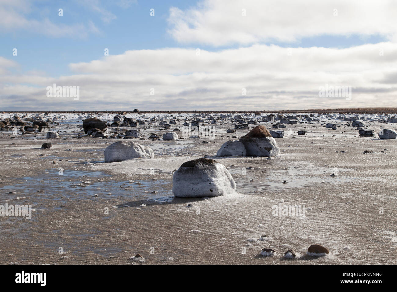 Les roches glacées par rive de la Baie d'Hudson, au Manitoba, Canada. L'tida, virage a gauche de la glace sur les rochers. Banque D'Images