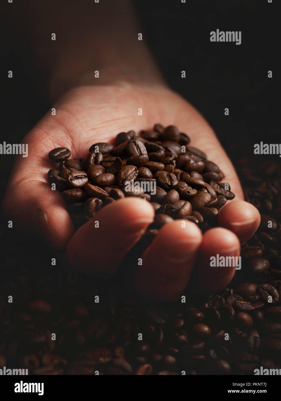 Personne à main pleine de grains de café. Banque D'Images