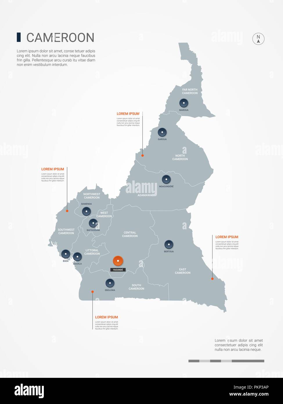 Carte du Cameroun avec des frontières, des villes, des capitaux et des divisions administratives. Infographie carte vectorielle. Couches modifiables clairement étiquetés. Illustration de Vecteur