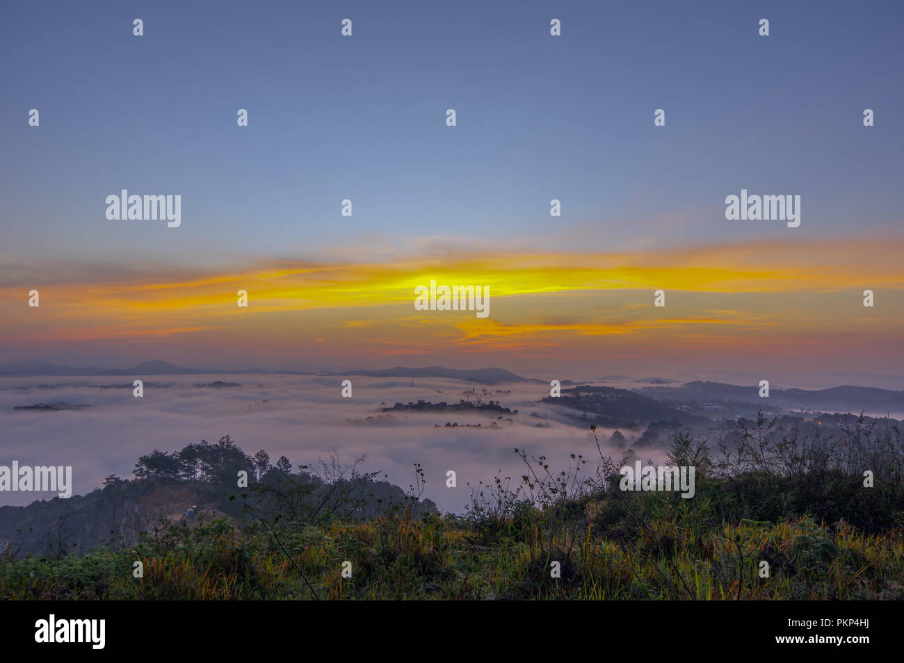 Arrière-plan avec un brouillard épais et forêt de pins dans l'aube, la magie du ciel et nuages Banque D'Images