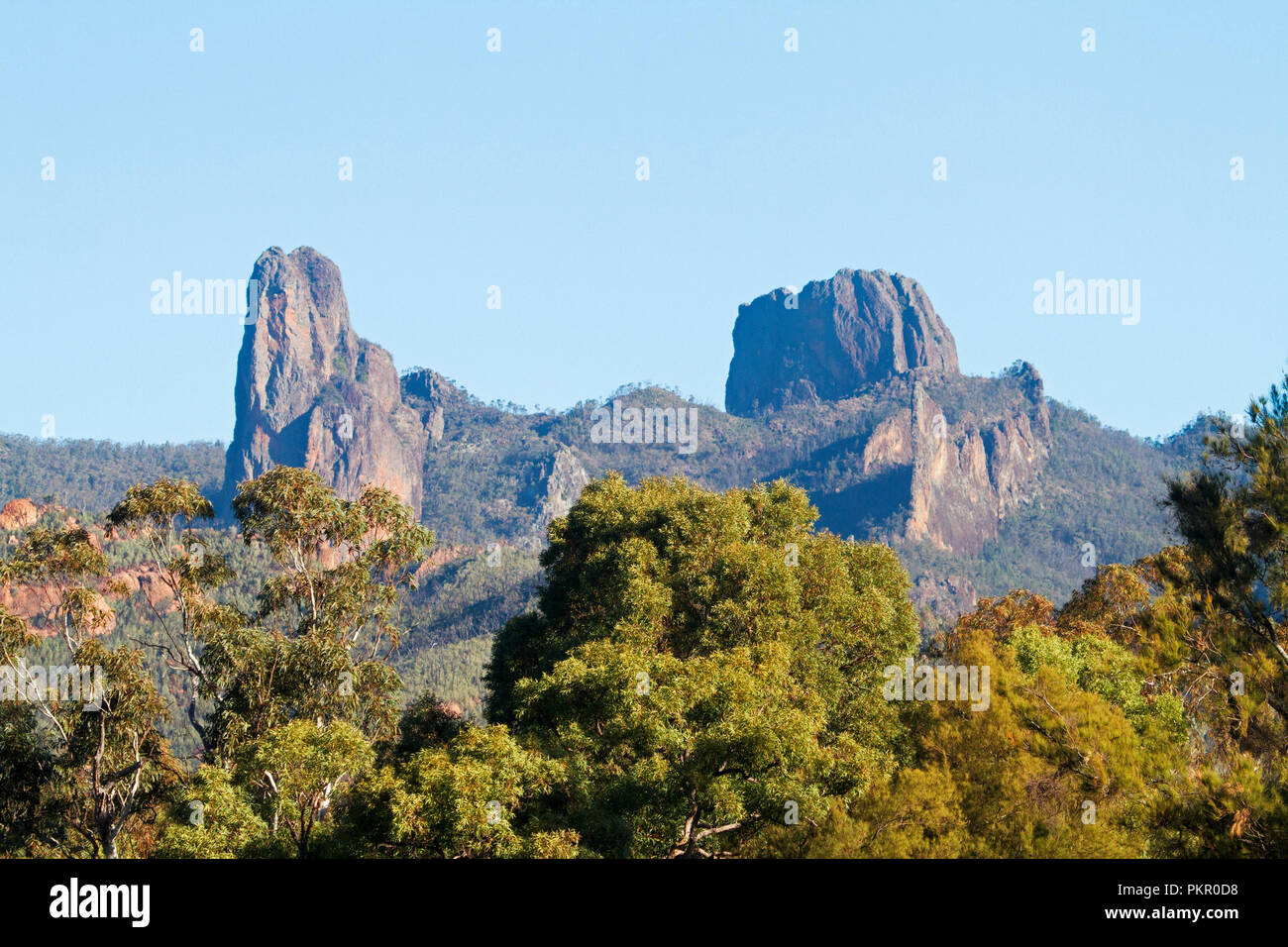 Les affleurements rocheux déchiquetés s'élevant au-dessus de plages boisées dans Ciel bleu dans Warrumbungle National Park NSW Australie Banque D'Images