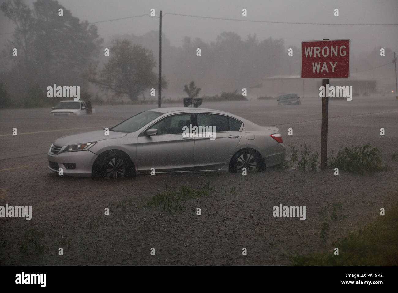 Vanceboro, NC, USA. 14Th Sep 2018. Les fortes pluies de l'ouragan Florence mène à de fortes inondations le long de la route US-17 près de Vanceboro, NC, le 14 septembre 2018. Crédit : Michael Candelori/ZUMA/Alamy Fil Live News Banque D'Images