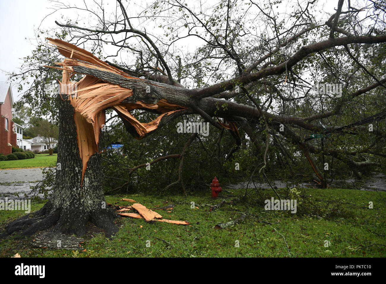Washington, USA. 14Th Sep 2018. Un arbre tombé se trouve sur le côté de la route près de littoral en Caroline du Nord, États-Unis, le 14 septembre, 2018. Au moins cinq personnes ont été tués à la suite de l'ouragan Florence, qui a été déclassé vendredi après-midi à une tempête tropicale avec des vents de 110 km/h) le long de la côte Est des États-Unis. Credit : Liu Jie/Xinhua/Alamy Live News Banque D'Images