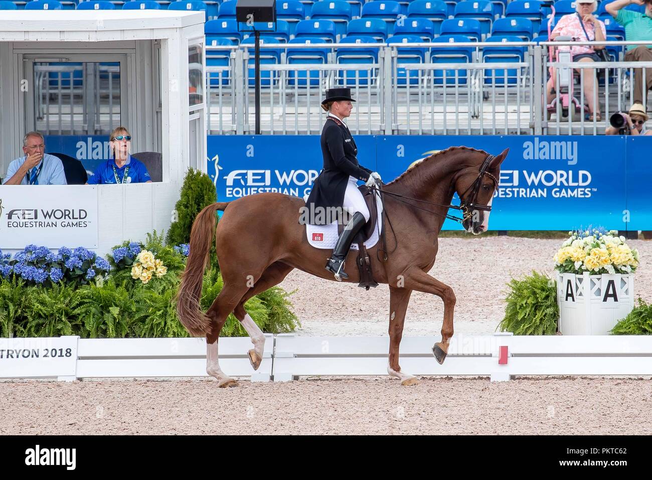 Tryon, USA. 14 septembre 2018. La 1ère place. Médaillé d'or. Isabell Werth. Bella Rose. GER. FEI World championnat individuel. Grand Prix Spécial. Le Dressage. Jour 4. Les Jeux équestres mondiaux. WEG 2018 Tryon. La Caroline du Nord. USA. 14/09/2018. Credit : Sport en images/Alamy Live News Banque D'Images