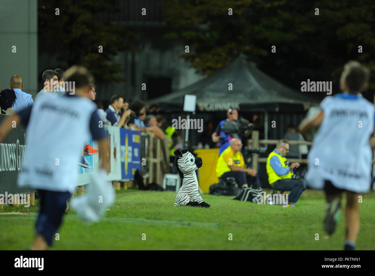 Parme, Italie. 15 Septembre, 2018. Mascotte du zèbre se dresse sur le terrain lors du match contre les Cardiff Blues en GuinnessPro14 2018/2019©Massimiliano Carnabuci/Alamy live news Banque D'Images