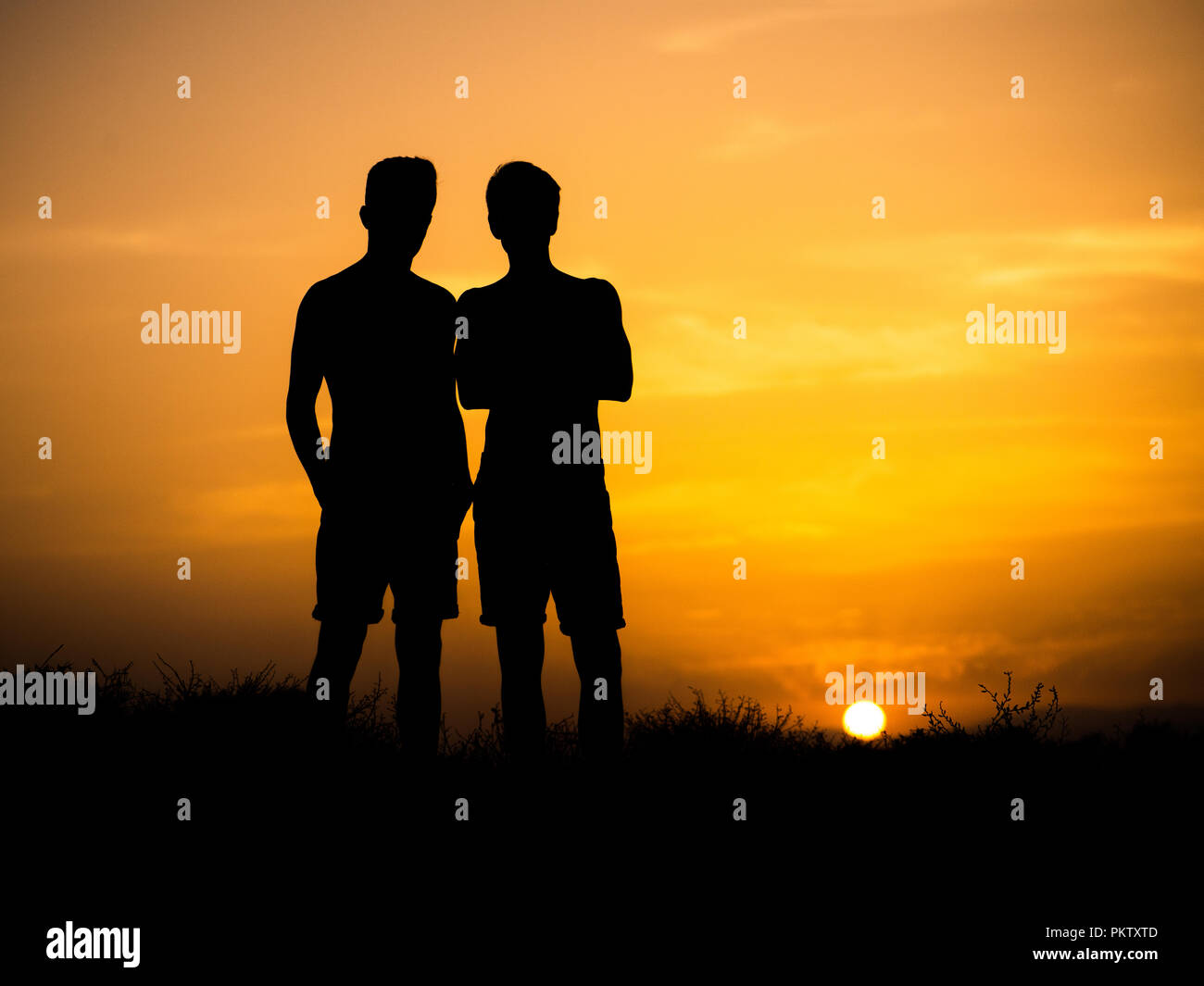 Silhouettes de deux jeunes amis des gars. Banque D'Images