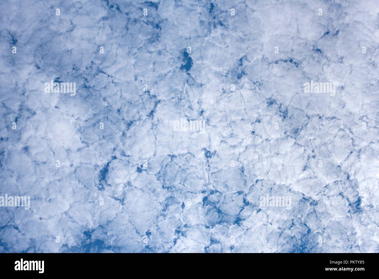 La formation de nuages, Altocumulus floccus, Ecosse, Royaume-Uni Banque D'Images
