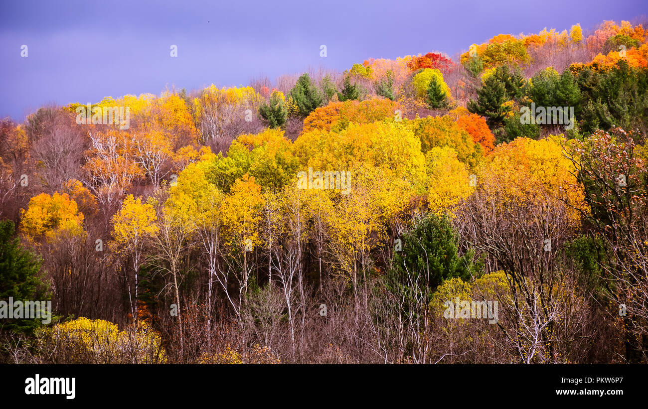Décor de l'automne - Bennington, Vermont Banque D'Images