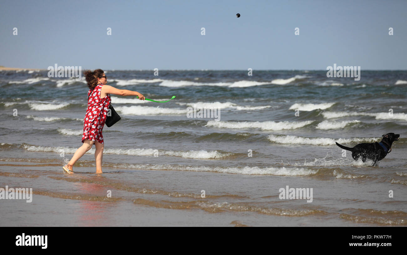Femme d'âge moyen de lancer un ballon à la mer pour son labrador noir. Banque D'Images