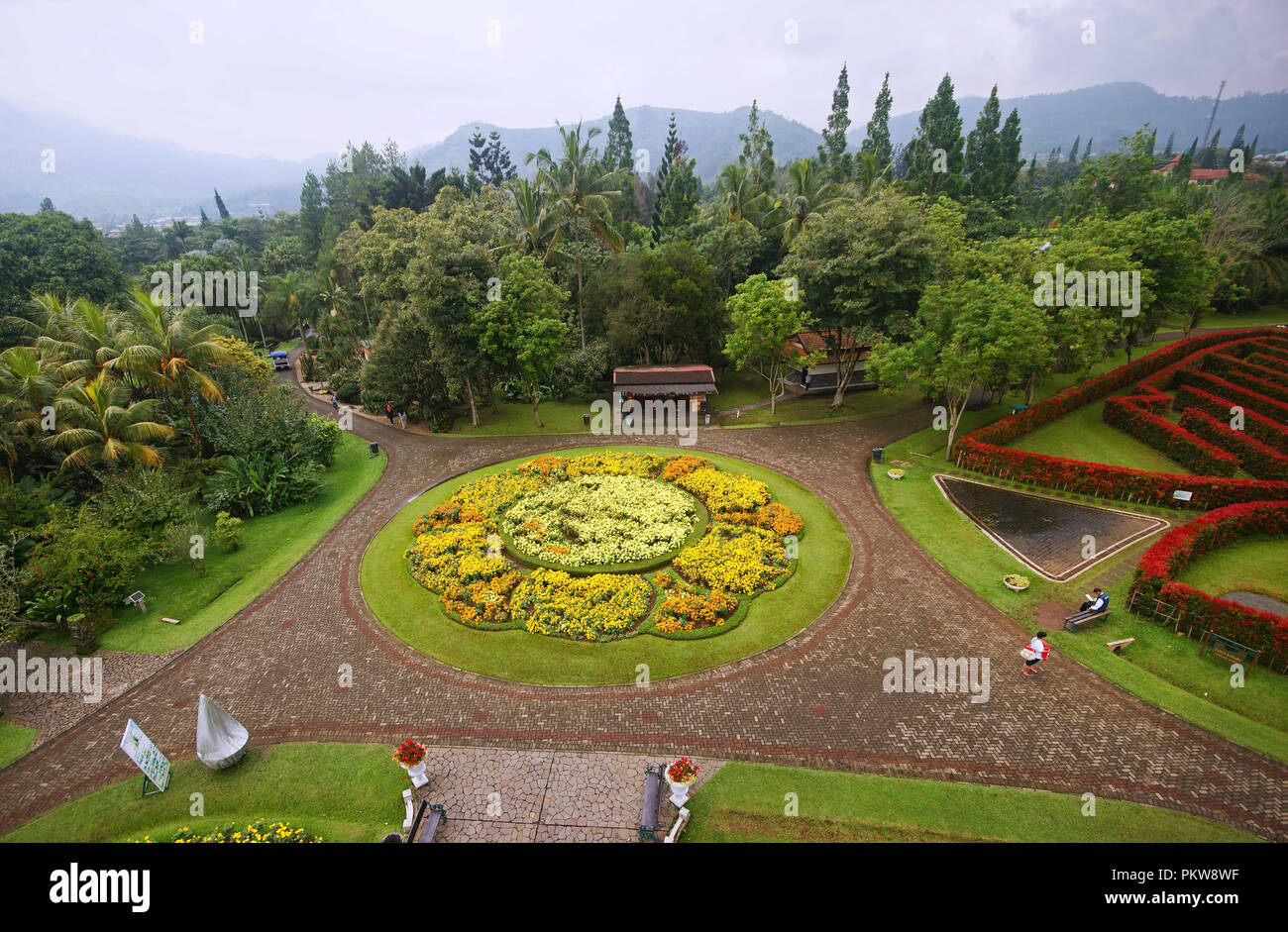 Taman Bunga Cipanas, Parc Jardin Nusantara, Java ouest, Indonésie Banque D'Images