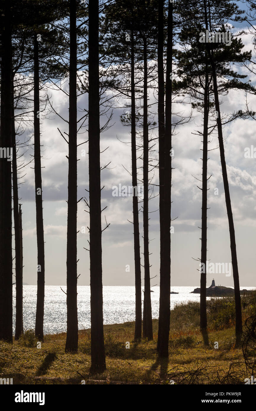 Vue sur le détroit de Menai à Parc National de Snowdonia à travers les arbres du rivage Banque D'Images