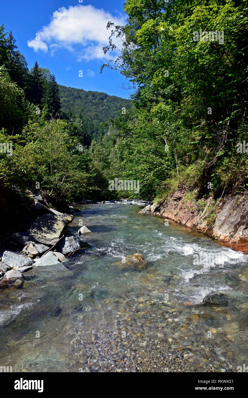 Vue en aval sur un mountain brook avec de l'eau translucide s'exécutant dans un lit rocheux Banque D'Images