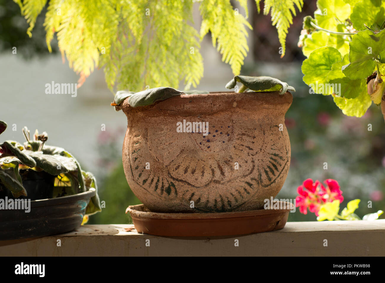 Grandes pots d'argile décoration de jardin. Banque D'Images