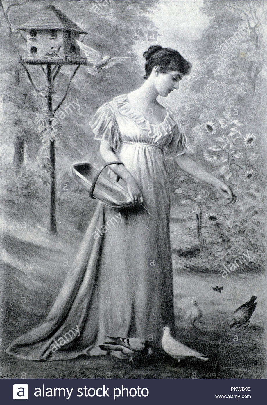 Nourrir les colombes, photographie victorienne de 1890 Banque D'Images