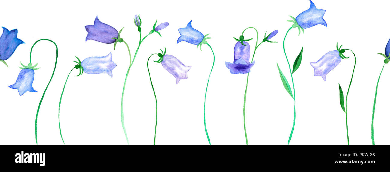 Bellflower reproductible sans frontière aquarelle sur fond blanc Banque D'Images