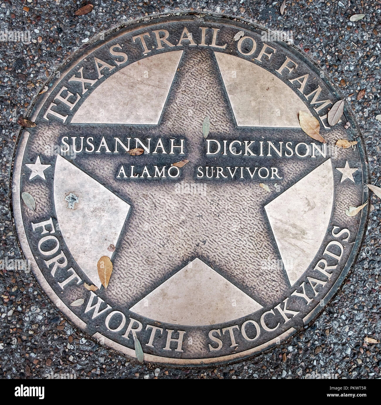 Trottoir en bronze incrusté de marqueur Susanna Dickinson, survivant d'Alamo et Messenger pour l'armée du Texas. Sentier de la renommée en Texas Fort Worth Stockyards. square Banque D'Images