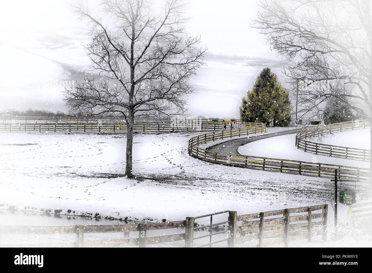 Vue panoramique de rêve de cheval de ferme avec liquidation clôture en lisse dans la saison d'hiver. Banque D'Images