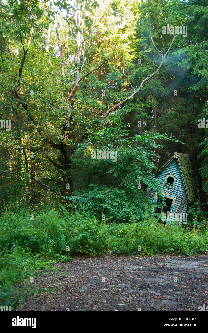 Un vieux enfants abandonnés's Playhouse dans les bois s'effondre sur le côté, à côté d'un arbre de chêne séché. Paysage fantastique. Banque D'Images
