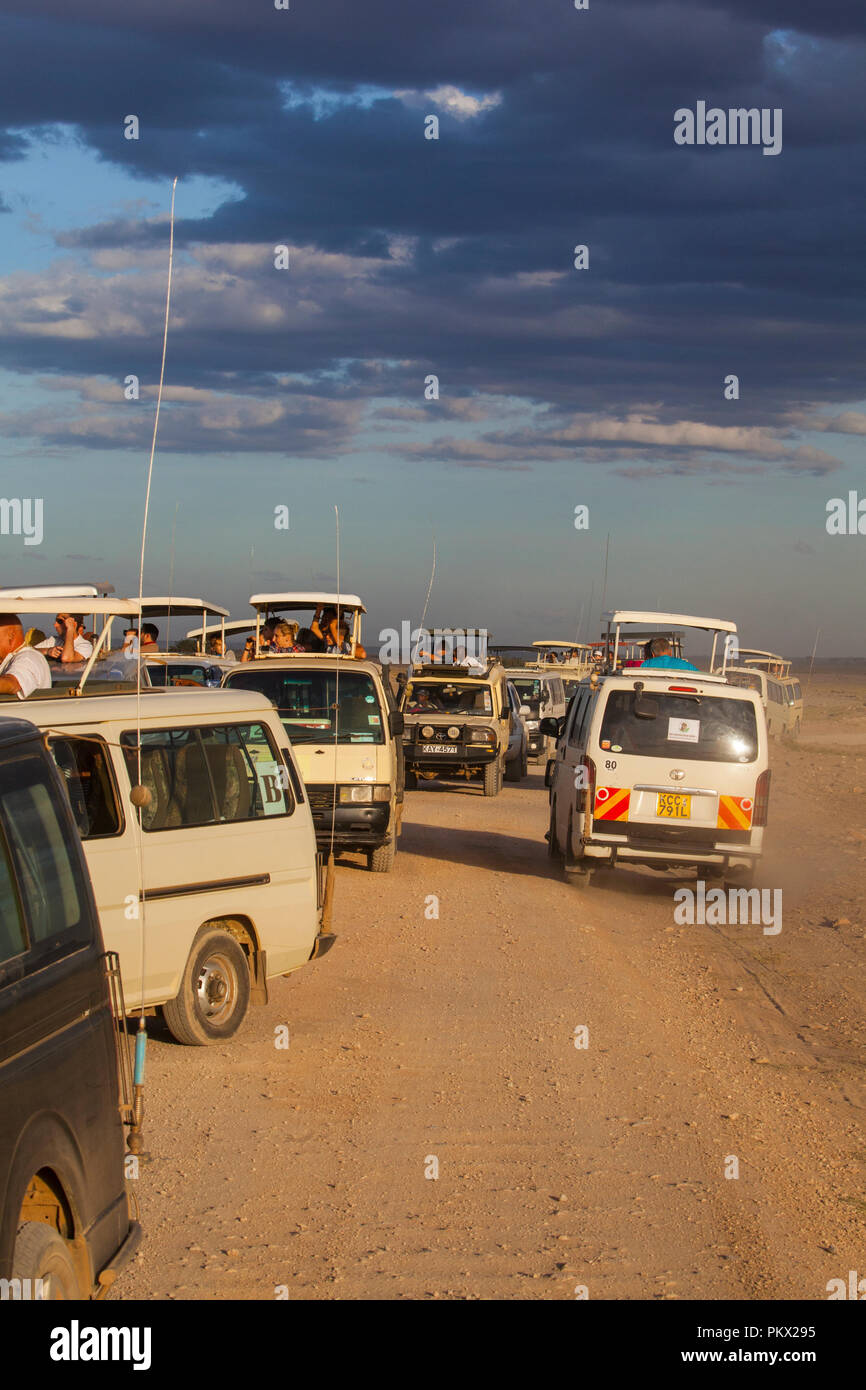 Parc national d'Amboseli, KENYA - février 22, 2018 : embouteillage à Amboseli - les touristes à regarder la famille des lions d'un safari en voiture. Banque D'Images