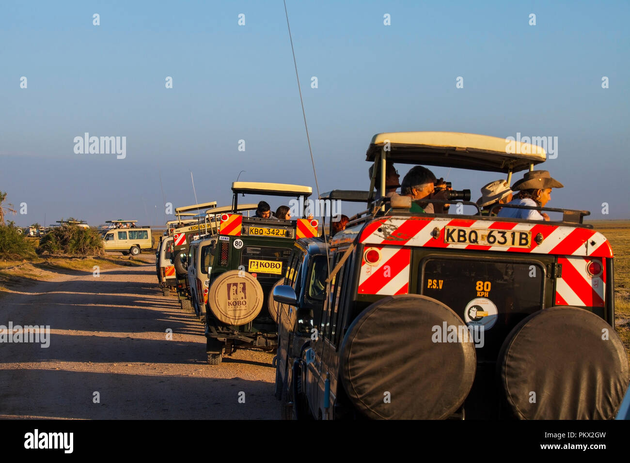 Parc national d'Amboseli, KENYA - février 22, 2018 : embouteillage à Amboseli - les touristes à regarder la famille des lions d'un safari en voiture. Banque D'Images