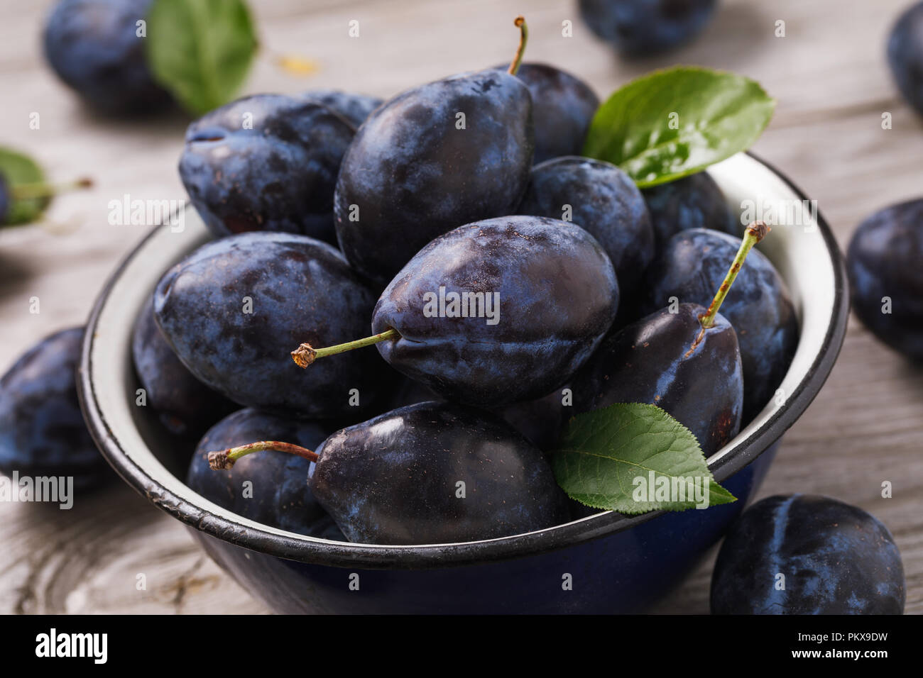 Bol plein de prune mûre fraîchement récolté les fruits sur une table en bois, close-up Banque D'Images