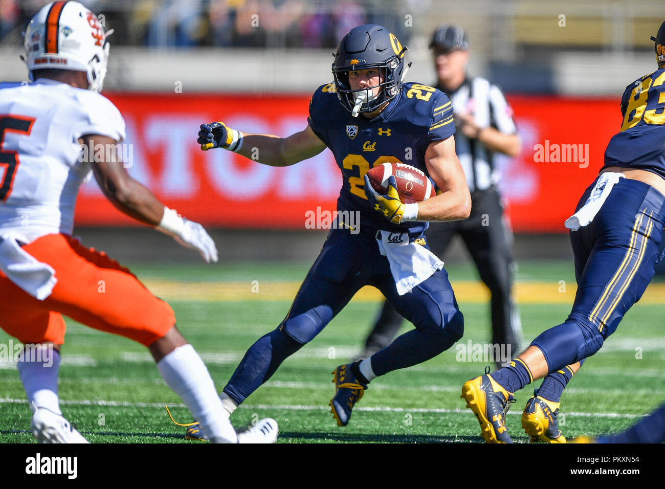 Berkeley, Californie, USA. 15 Sep, 2018. California Golden Bears d'utiliser de nouveau Patrick Laird (28) vient à manquer de l'exécution de prix au cours de la NCAA football match entre les Bengals d'état de l'Idaho et l'Université de Californie Berkeley California Golden Bears au Memorial Stadium à Berkeley, Californie. Chris Brown/CSM/Alamy Live News Banque D'Images