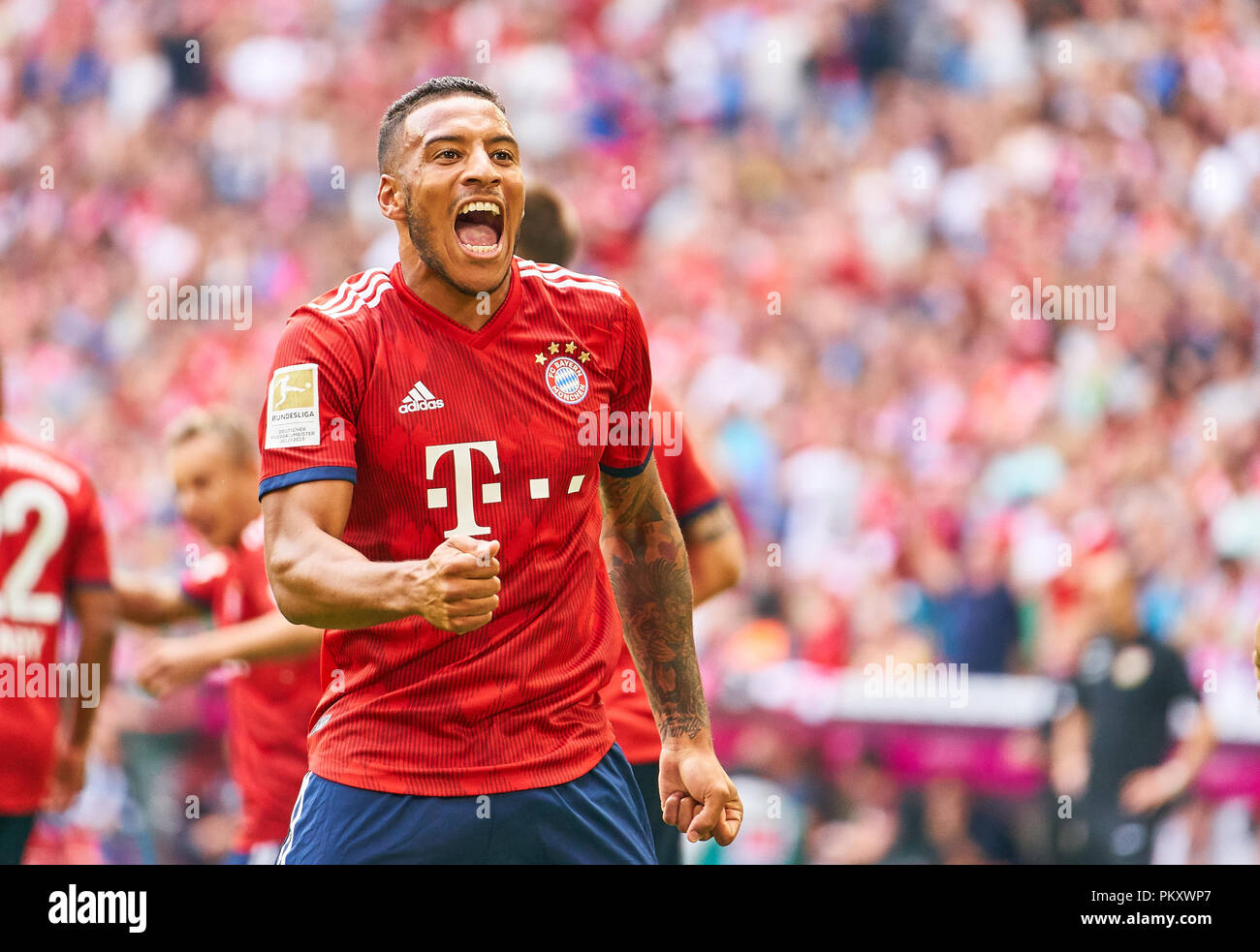 Munich, Allemagne. 15 septembre 2018. Corentin TOLISSO, FCB 24 célèbre son but avec 1-1, ils applaudissent, joie, émotions, célébrer, rire, ils applaudissent, se réjouir, de déchirer les bras, serrant le poing, célébrer, célébration, FC BAYERN MUNICH - Bayer 04 LEVERKUSEN 3-1 - DFL RÈGLEMENT INTERDIT TOUTE UTILISATION DES PHOTOGRAPHIES comme des séquences d'images et/ou quasi-vidéo - 1.ligue de soccer allemand , Munich, le 15 septembre 2018, de la saison 2018/2019, journée 4 © Peter Schatz / Alamy Live News Banque D'Images