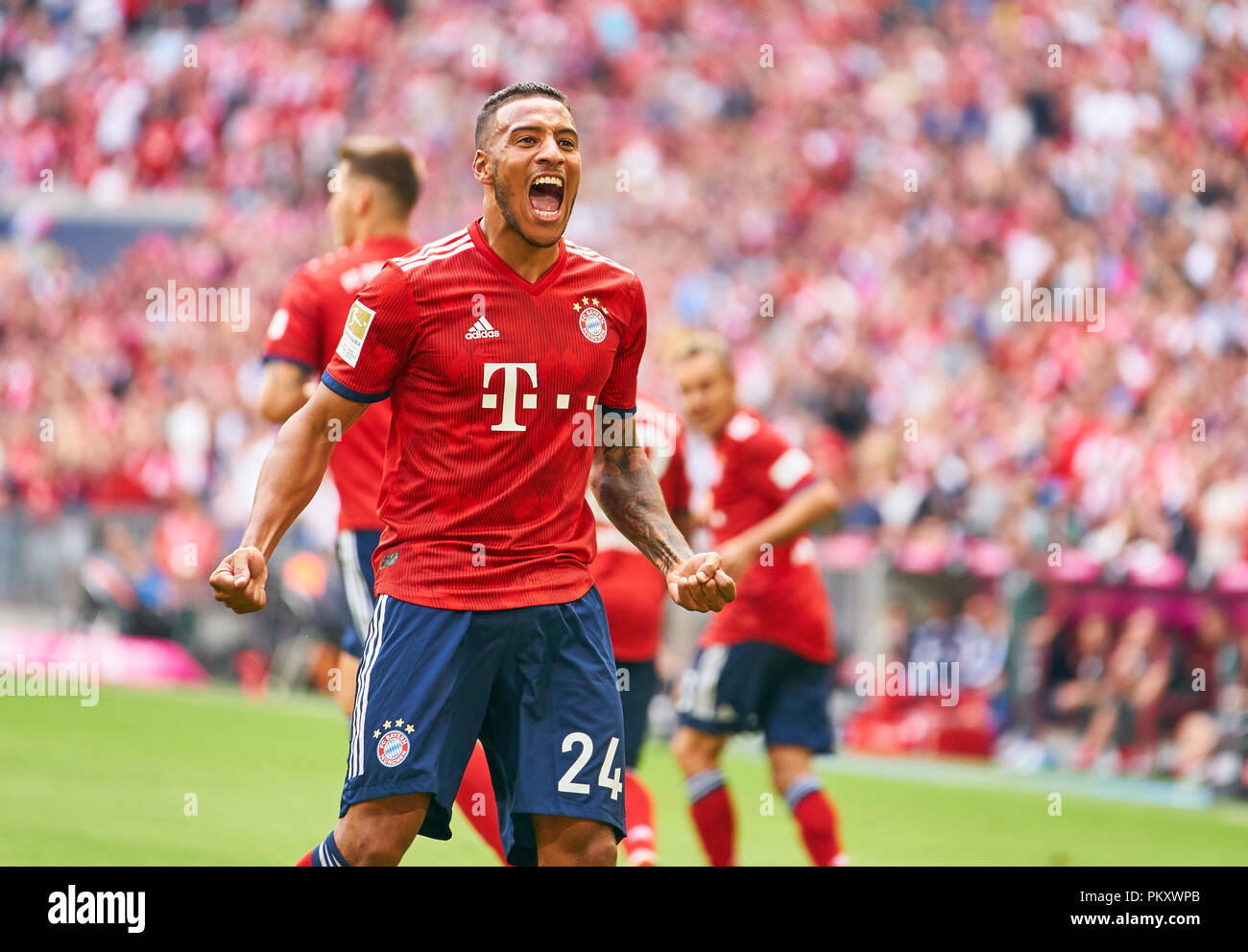 Munich, Allemagne. 15 septembre 2018. Corentin TOLISSO, FCB 24 célèbre son but avec 1-1, ils applaudissent, joie, émotions, célébrer, rire, ils applaudissent, se réjouir, de déchirer les bras, serrant le poing, célébrer, célébration, FC BAYERN MUNICH - Bayer 04 LEVERKUSEN 3-1 - DFL RÈGLEMENT INTERDIT TOUTE UTILISATION DES PHOTOGRAPHIES comme des séquences d'images et/ou quasi-vidéo - 1.ligue de soccer allemand , Munich, le 15 septembre 2018, de la saison 2018/2019, journée 4 © Peter Schatz / Alamy Live News Banque D'Images