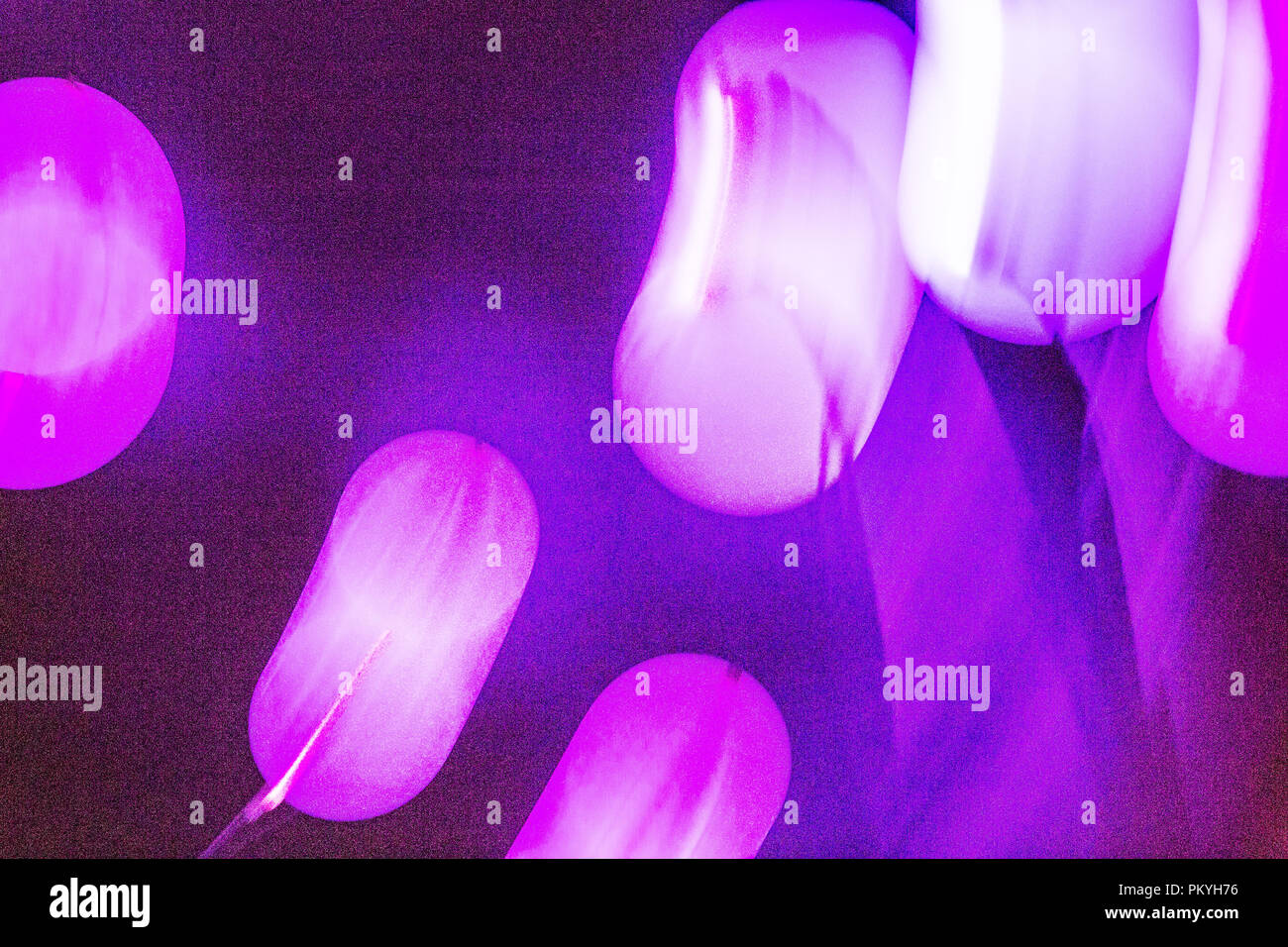 Light baloons Banque D'Images