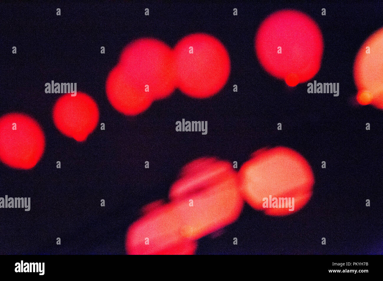 Light baloons Banque D'Images