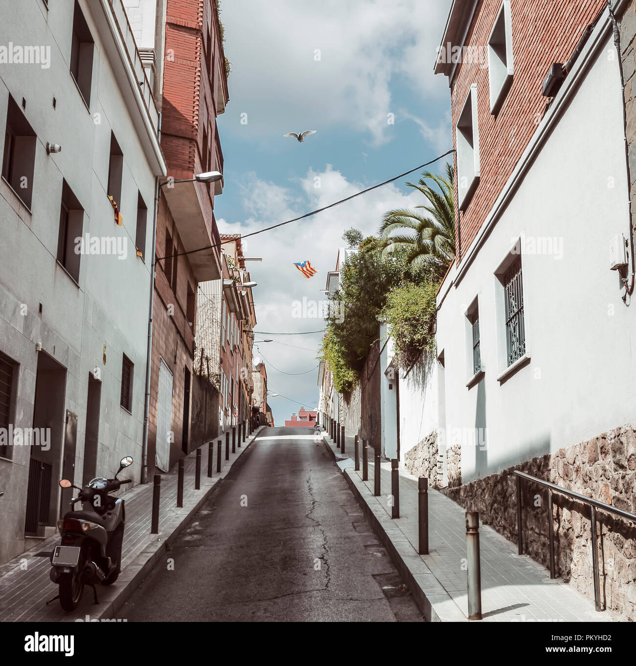 Montée rue de Barcelone avec l'oiseau en vol et Catalan drapeau, Espagne Banque D'Images