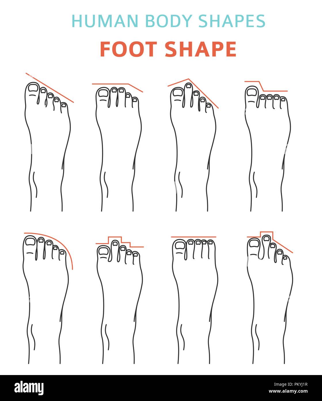 Les formes du corps humain.pieds types icon set. Vector illustration Illustration de Vecteur