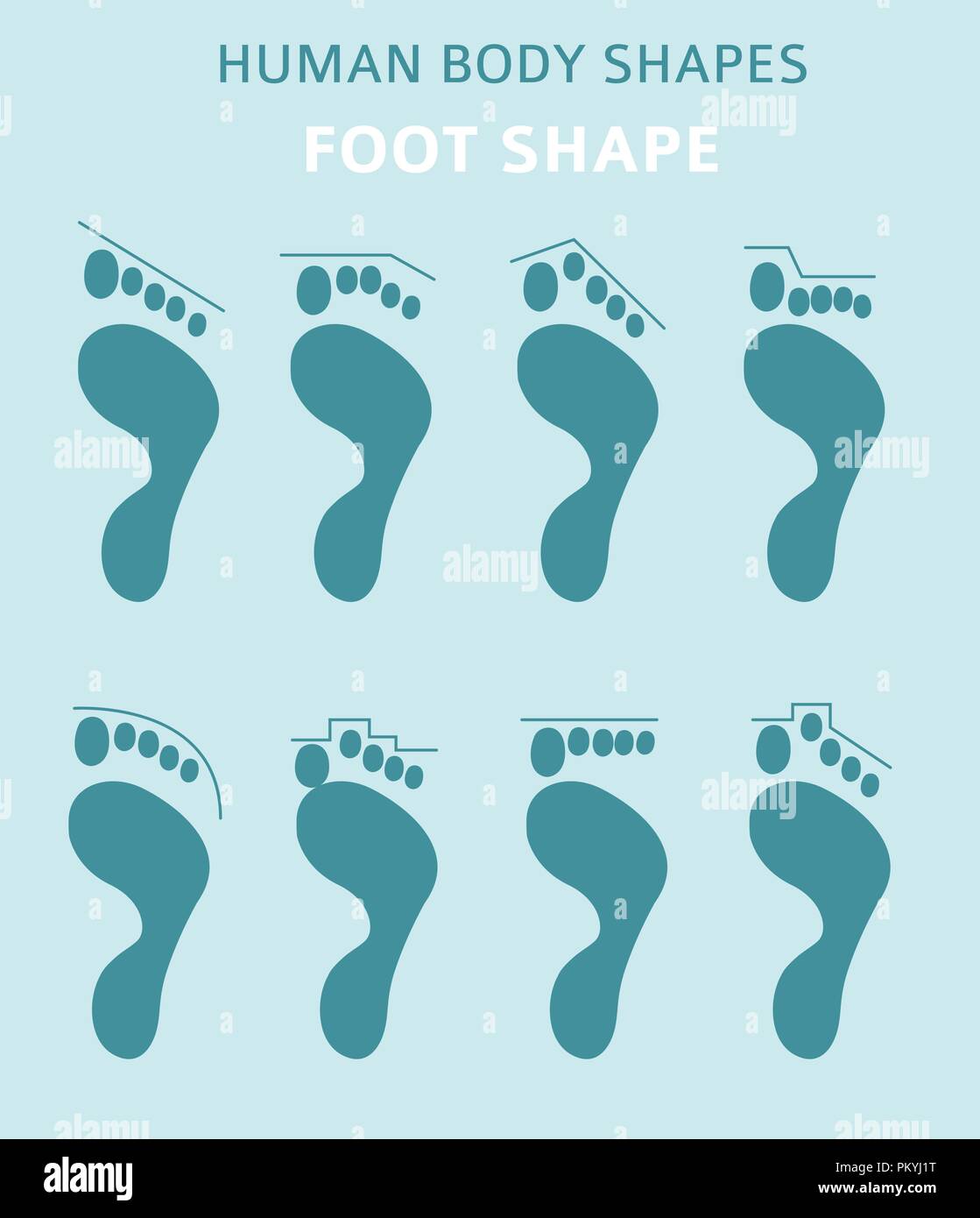 Les formes du corps humain.pieds types icon set. Vector illustration Illustration de Vecteur
