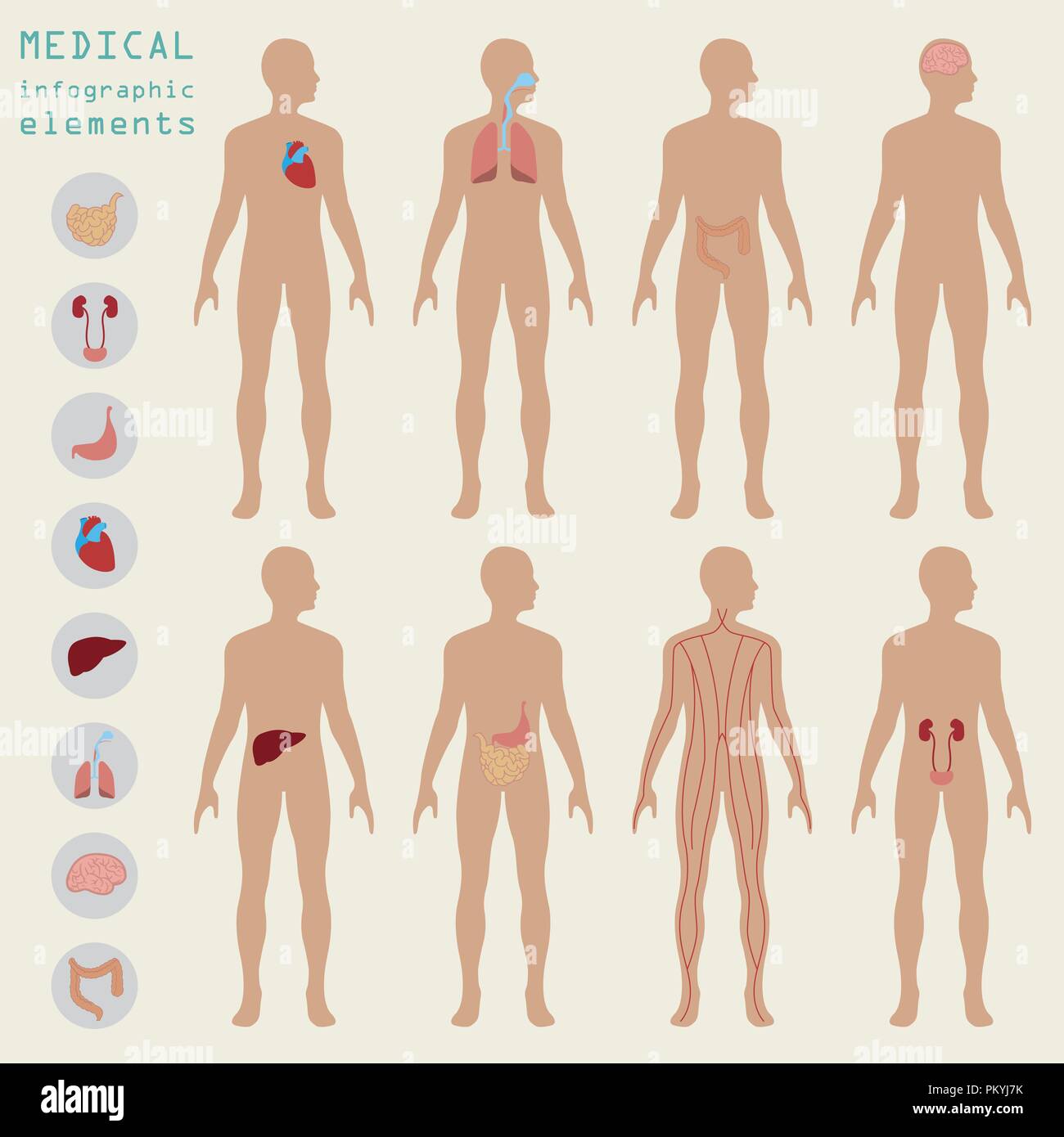 Secteur médical et de la santé, éléments de création d'infographie l'infographie. Vector illustration Illustration de Vecteur