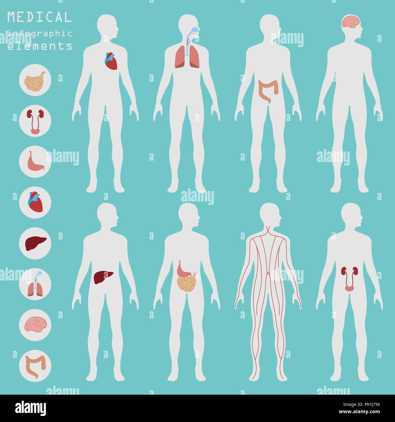 Secteur médical et de la santé, éléments de création d'infographie l'infographie. Vector illustration Illustration de Vecteur