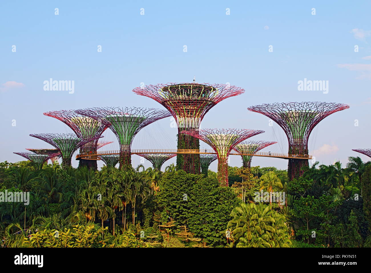 Marina Bay, Singapour, Supertrees dans les jardins de la baie. Banque D'Images