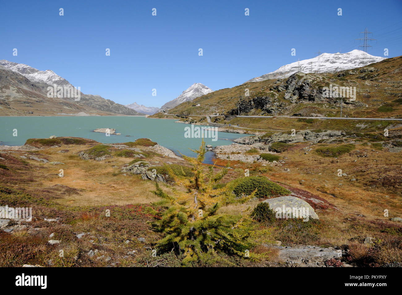 Le train Bernina durs sur les Alpes Suisses dans l'Bernina-Hospitz d'Oberengadin Pontresina via à l'Alp Grüm et se termine à Tirano (Italie). Banque D'Images