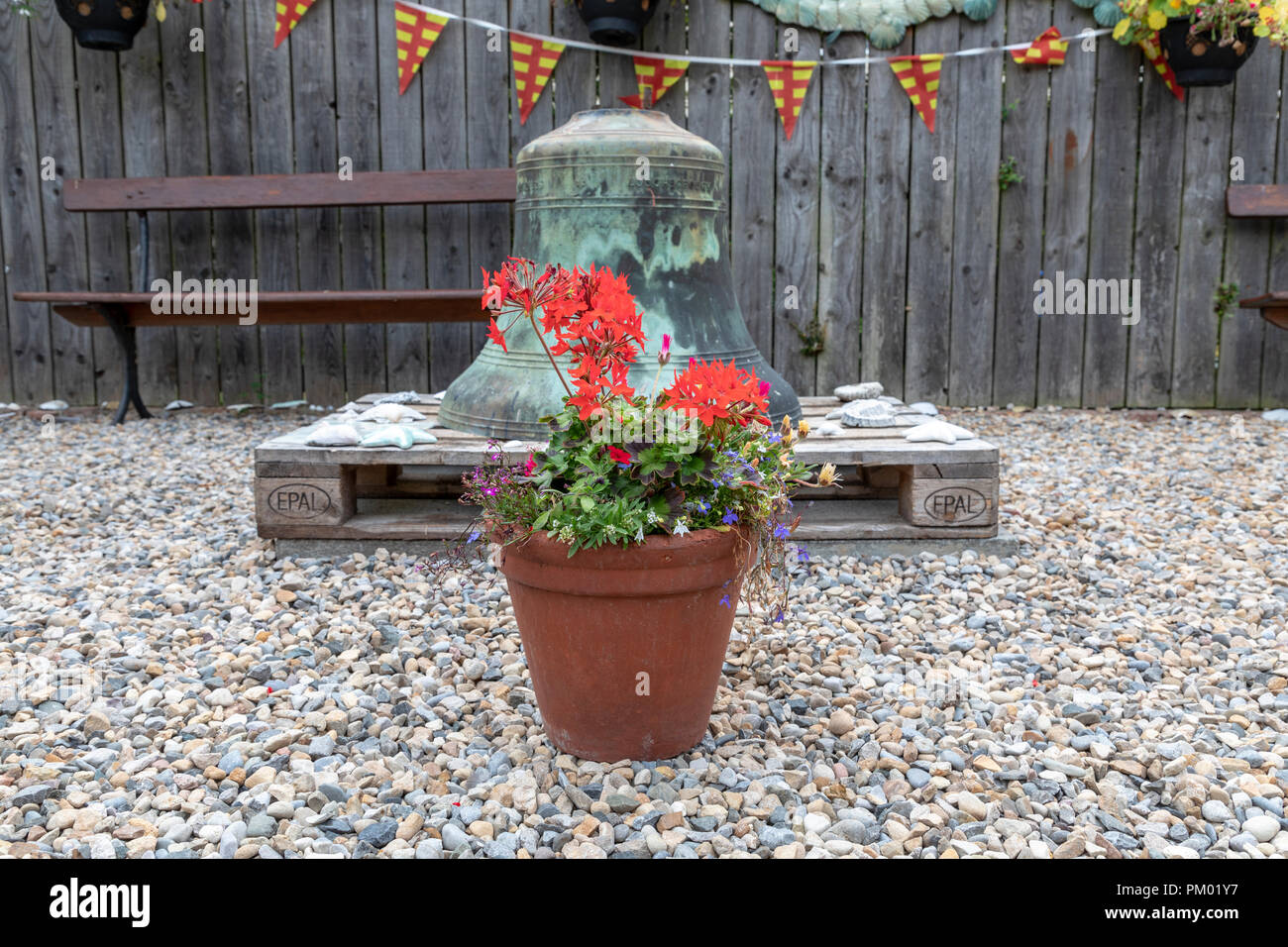 Géranium rouge fleur en pot de jardin avec cloche de l'église derrière. Banque D'Images