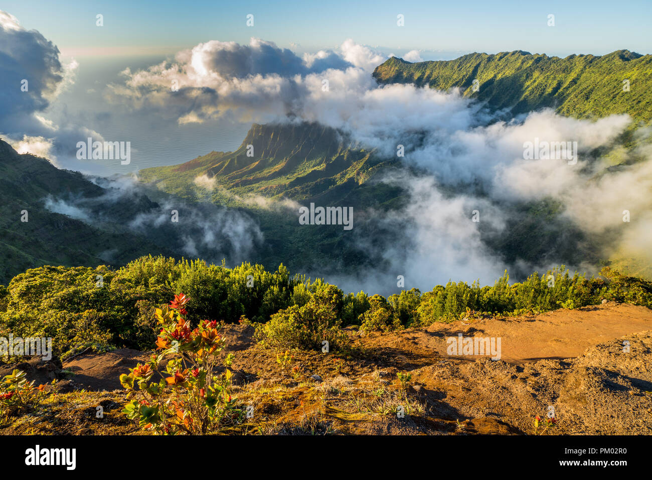 Avis de Kalalau Valley de la vista point à la fin de l'Autoroute, Parc d'état de Ke'e Banque D'Images