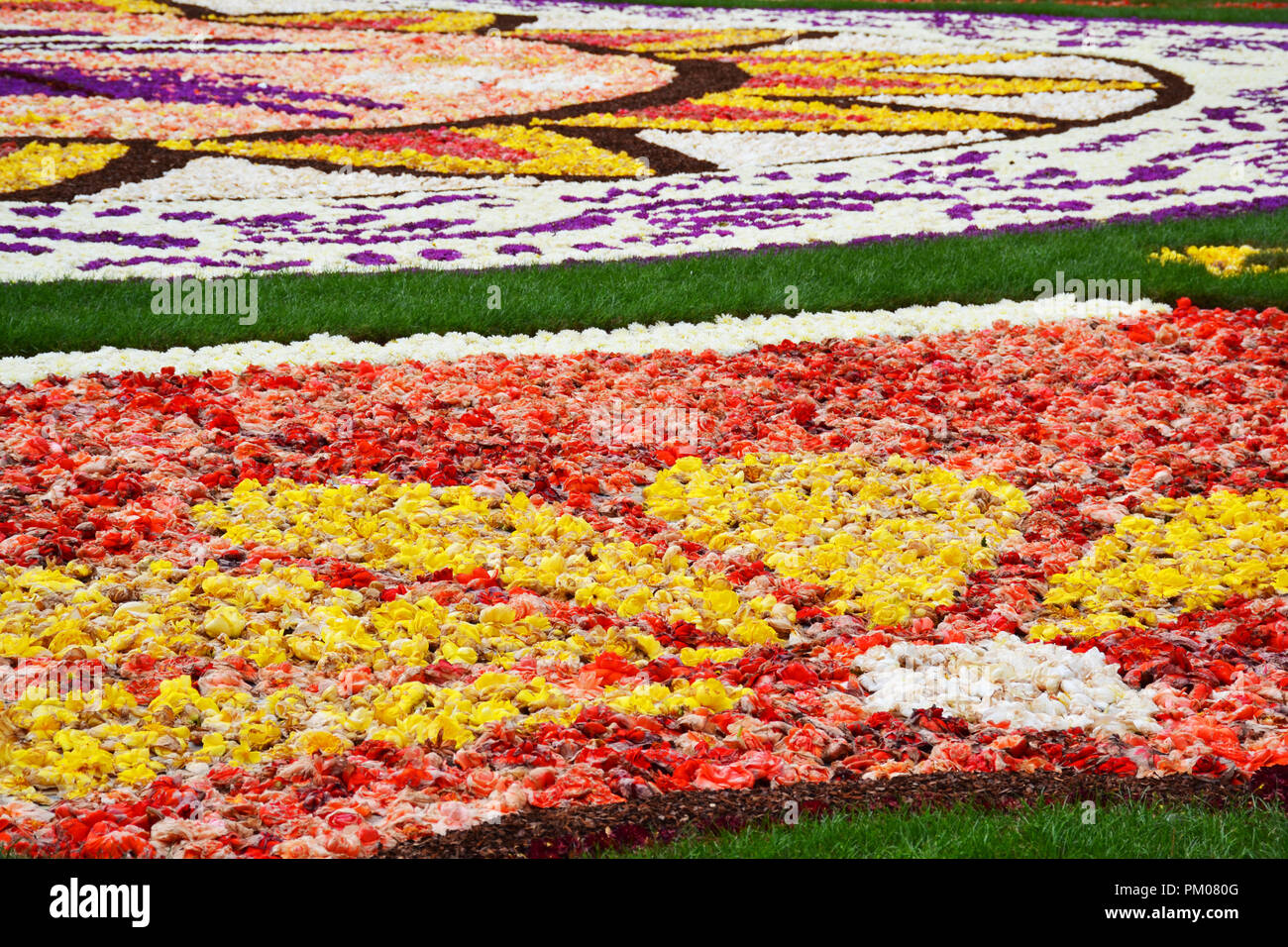 Bruxelles Grand Place tapis de fleurs à base de bulbes à fleurs, Belgique Banque D'Images