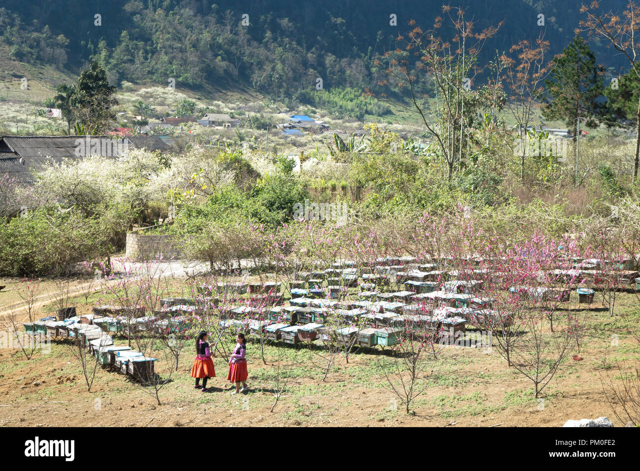 Au moment du Nouvel An Hmong à la fin de l'année lunaire, ils portent souvent les plus beaux costumes, Banque D'Images