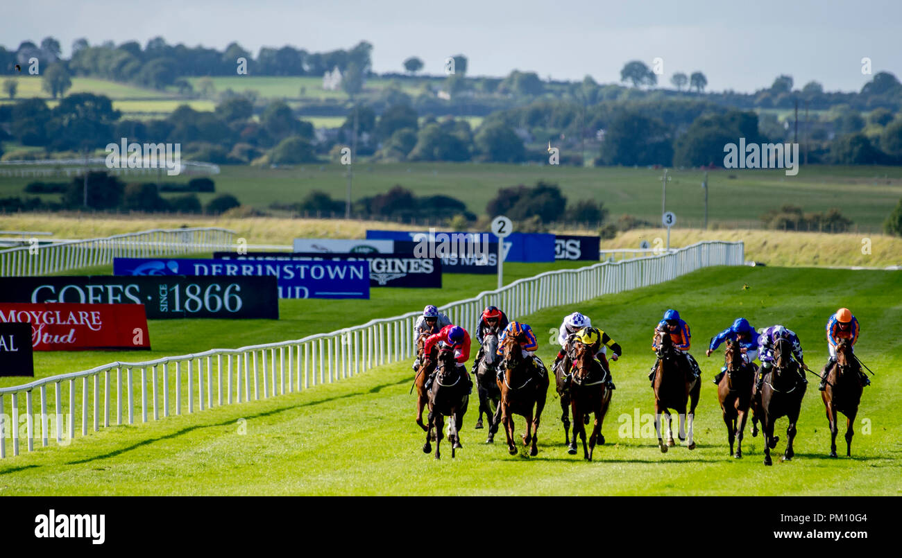 Curragh, KIL, USA. 16 Sep, 2018. 16 septembre 2018 : Scatter Skitter », montée par Ronan Whelan, gagne le Moyglare Stud Stakes sur Champions irlandais Curragh Hippodrome Enjeux à jour le 16 septembre 2018 en Irlande, Curragh. Scott Serio/ESW/CSM/Alamy Live News Banque D'Images
