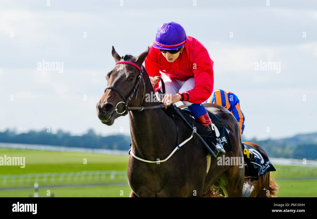 Curragh, KIL, USA. 16 Sep, 2018. 16 septembre 2018 : Scatter Skitter », montée par Ronan Whelan, gagne le Moyglare Stud Stakes sur Champions irlandais Curragh Hippodrome Enjeux à jour le 16 septembre 2018 en Irlande, Curragh. Scott Serio/ESW/CSM/Alamy Live News Banque D'Images