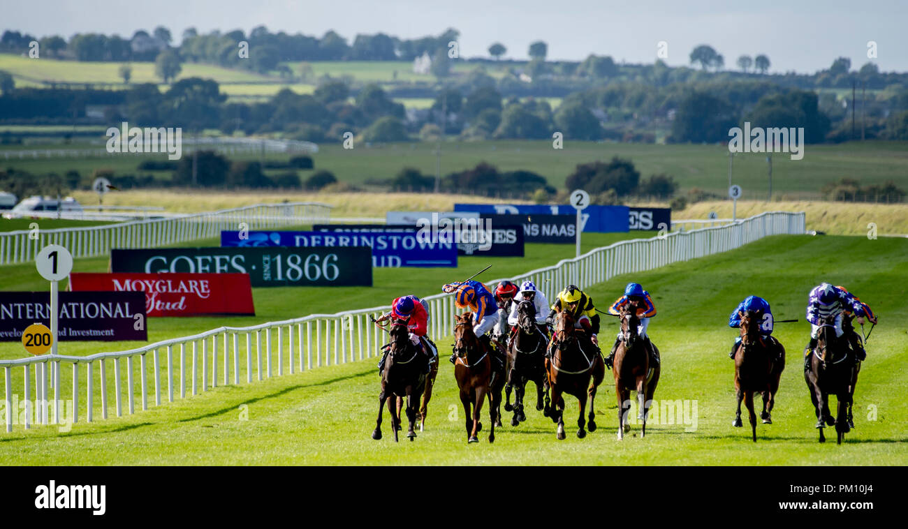 Curragh, KIL, USA. 16 Sep, 2018. 16 septembre 2018 : Scatter Skitter », montée par Ronan Whelan, gagne le Moyglare Stud Stakes sur Champions irlandais Curragh Hippodrome Enjeux à jour le 16 septembre 2018 en Irlande, Curragh. Scott Serio/ESW/CSM/Alamy Live News Banque D'Images