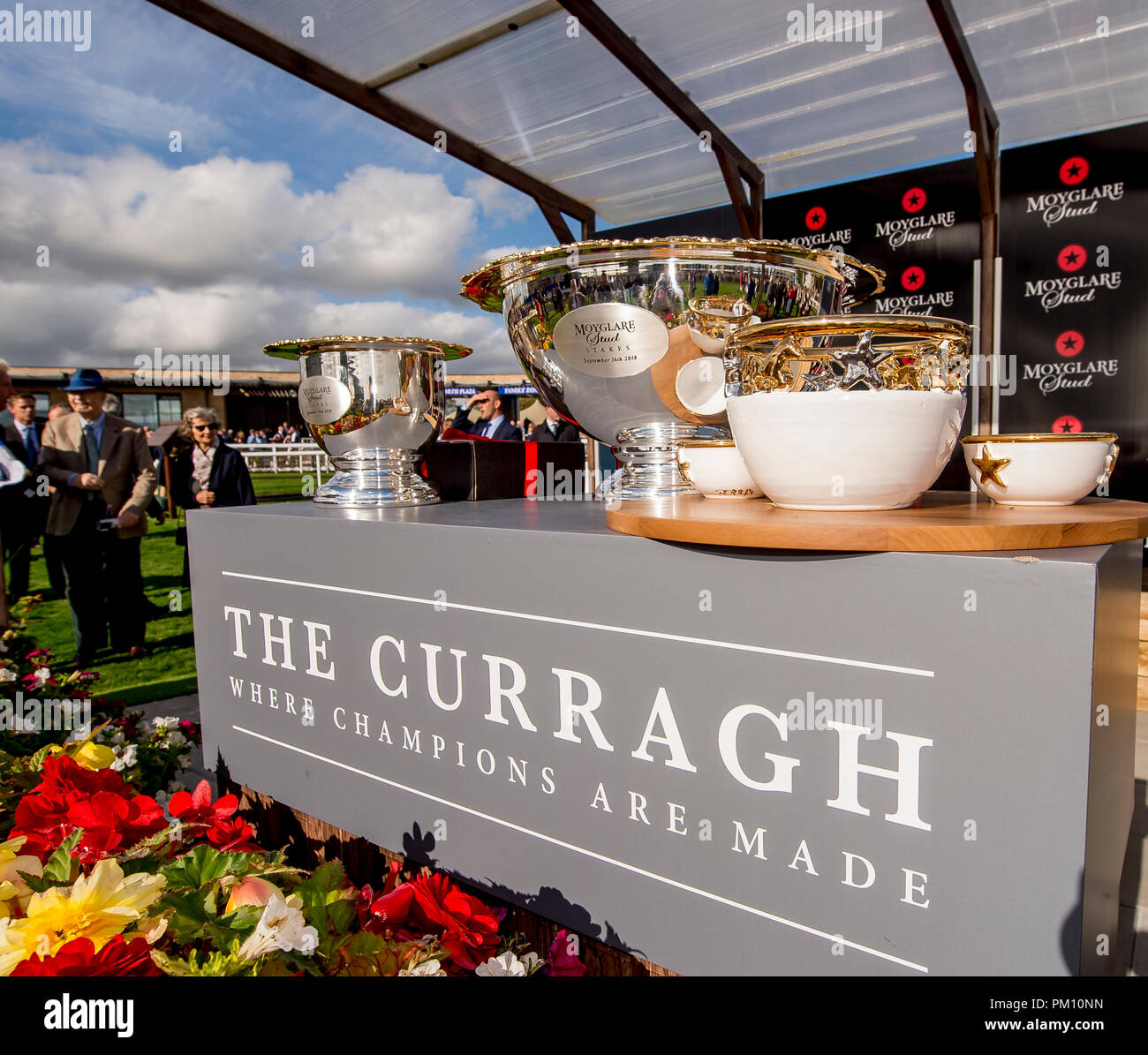 Curragh, KIL, USA. 16 Sep, 2018. 16 septembre 2018 : Scatter Skitter », montée par Ronan Whelan, gagne le Moyglare Stud Stakes sur Champions irlandais Curragh Hippodrome Enjeux à jour le 16 septembre 2018 en Irlande, Curragh. Scott Serio/ESW/CSM/Alamy Live News Banque D'Images