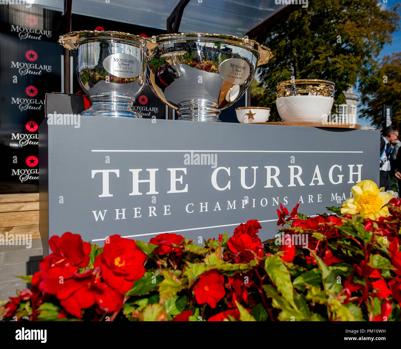 Curragh, KIL, USA. 16 Sep, 2018. 16 septembre 2018 : Scatter Skitter », montée par Ronan Whelan, gagne le Moyglare Stud Stakes sur Champions irlandais Curragh Hippodrome Enjeux à jour le 16 septembre 2018 en Irlande, Curragh. Scott Serio/ESW/CSM/Alamy Live News Banque D'Images