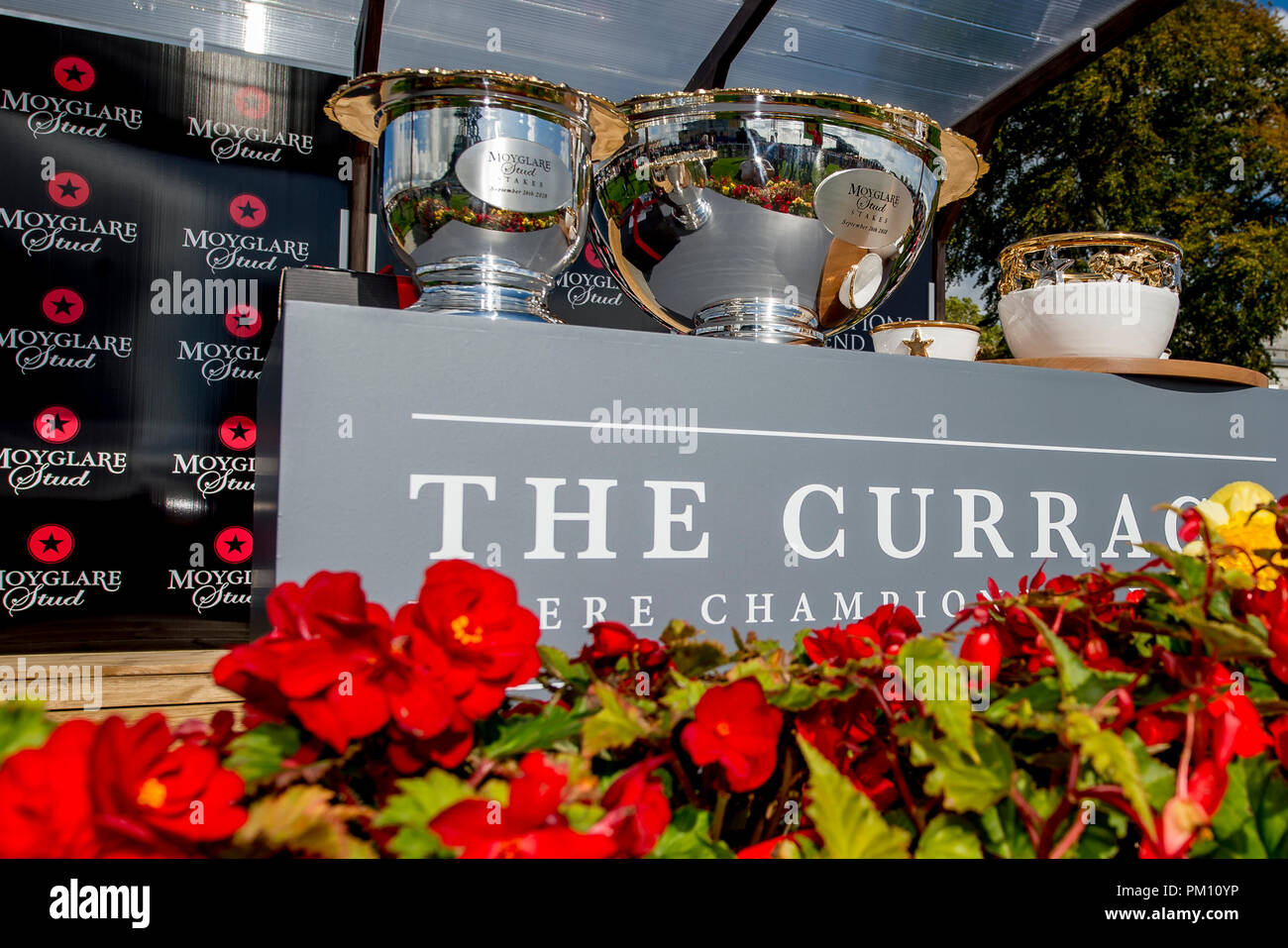 Curragh, KIL, USA. 16 Sep, 2018. 16 septembre 2018 : Scatter Skitter », montée par Ronan Whelan, gagne le Moyglare Stud Stakes sur Champions irlandais Curragh Hippodrome Enjeux à jour le 16 septembre 2018 en Irlande, Curragh. Scott Serio/ESW/CSM/Alamy Live News Banque D'Images