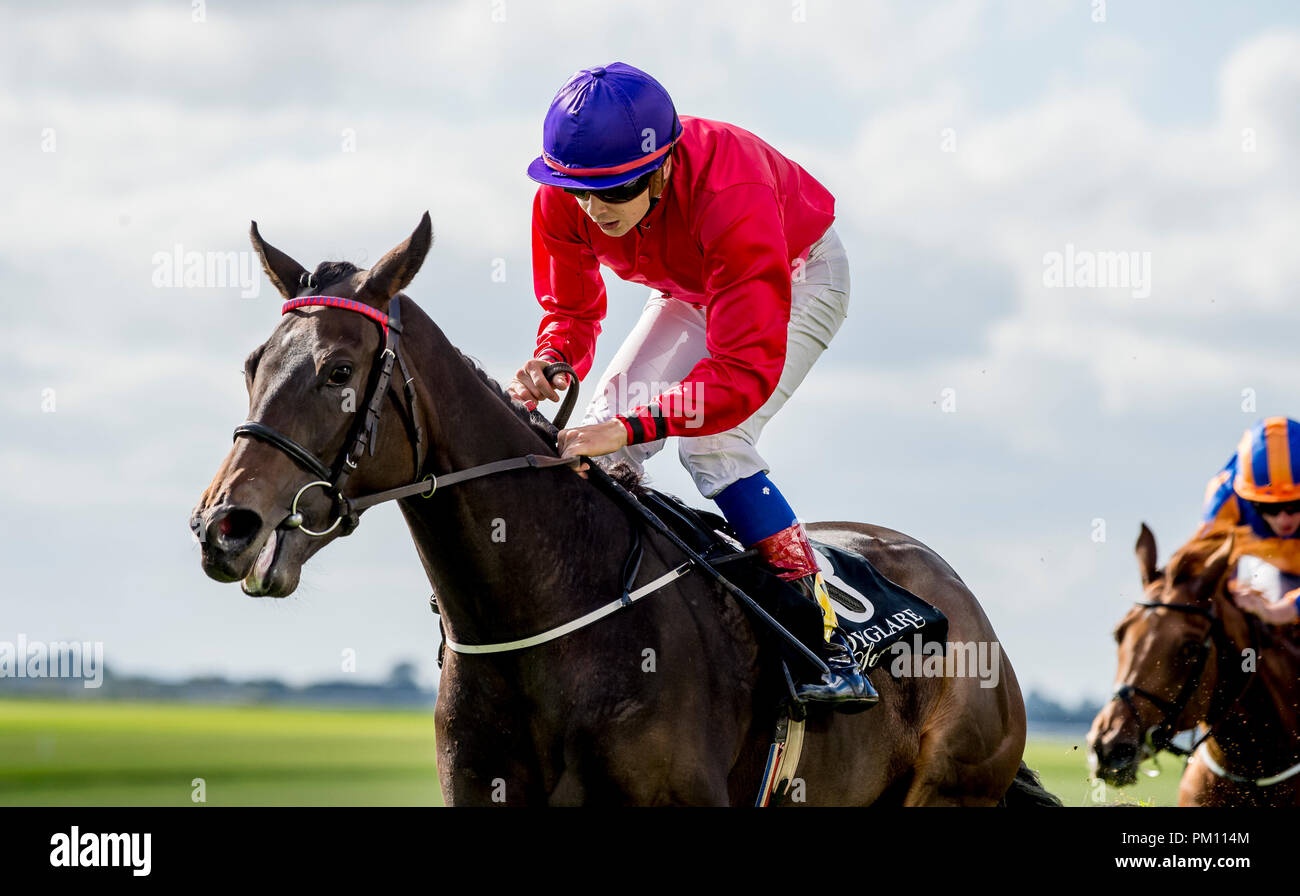 Curragh, KIL, USA. 16 Sep, 2018. 16 septembre 2018 : Scatter Skitter », montée par Ronan Whelan, gagne le Moyglare Stud Stakes sur Champions irlandais Curragh Hippodrome Enjeux à jour le 16 septembre 2018 en Irlande, Curragh. Scott Serio/ESW/CSM/Alamy Live News Banque D'Images